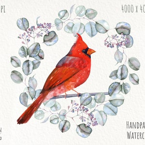 Aquarelle cardinale d’oiseau clipart. Image clipart de Noël peinte à la main. Couronne d’hiver. Utilisation commerciale. Téléchargement instantané. Fichiers png imprimables.