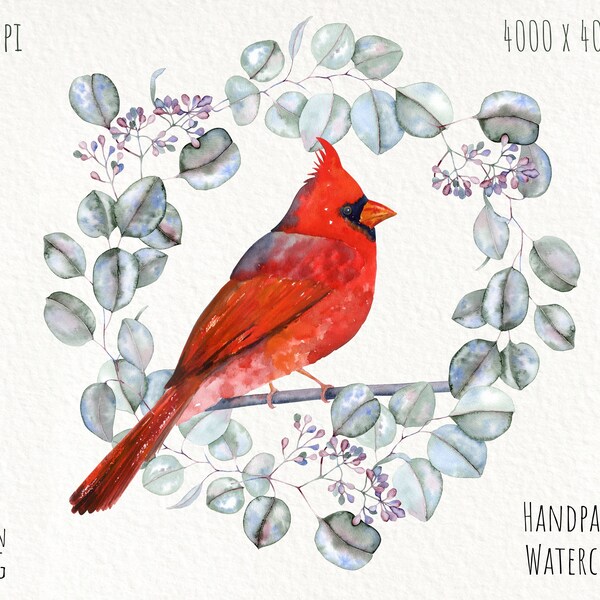 Watercolor Cardinal - Etsy
