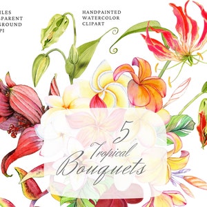 Aquarell Blumen Clipart, tropische Sträuße, Blumenarrangements. Hochzeit Clipart. Orange rosa lila Blüten. Kostenlose kommerzielle Nutzung, png