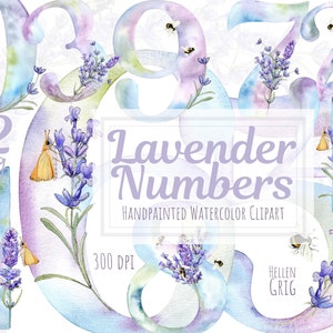 Clipart de números de lavanda em aquarela, clipart de lavanda floral número pintado à mão. Arquivos PNG individuais. Download instantâneo. Uso comercial.