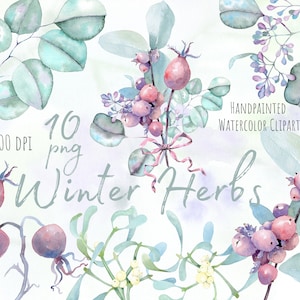 Clipart floral de inverno em aquarela, flor pintada à mão, ervas de Natal. Elementos individuais. Uso comercial. Download instantâneo. png imprimível.