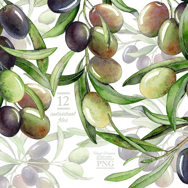 Watercolor Clipart,olive branches. Handpainted greenery arrangements. Wedding Decor. Png files for kitchen decor. Instant Download.Comercial