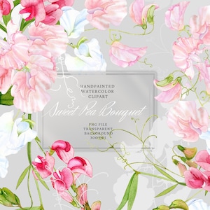 Aquarell Blumen Clipart. Süßer Erbsenstrauß. Handbemalte rosa Sommerblumen. Hochzeit Clipart. Kostenlose kommerzielle Nutzung. Sofortiger Download. PNG.