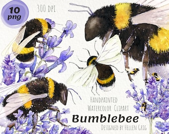 Watercolor Bumblebee Clipart, Lavender, Handpainted Insect Art (PNG Digital Download)