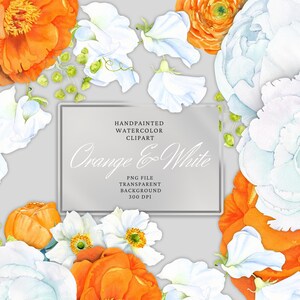 Aquarell Blumen Clipart, weißer Pfingstrosenstrauß, Blumenarrangements. Hochzeit Clipart. Orange Blumen. Erbse. Kostenlose kommerzielle Nutzung, png
