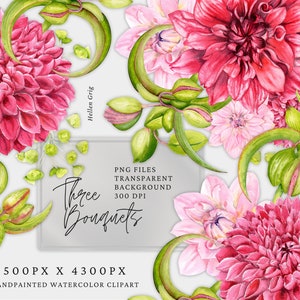 Aquarel bloem clipart, roze dahliaboeket, bloemstukken. Bruiloft clipart. Rozepaarse bloemen. Gratis commercieel gebruik, png-bloemen