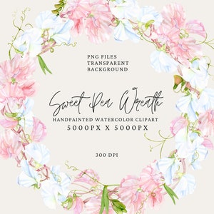 Süßer Erbsenkranz. Aquarell rosa Clipart, handgemalt lila Sommer Floral Rahmen. Kostenlose kommerzielle Nutzung. Sofort Download. Druckbare png.
