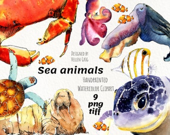 Sea animals and fish watercolor clipart. Handpainted sealife clip art  for nursery decor. Instant download. Digital. PNG files.