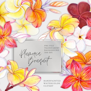 Aquarel bloem clipart, plumeria boeket, bloemstukken. Bruiloft Clipart. Oranjeroze tropische bloemen. Gratis commercieel gebruik, png