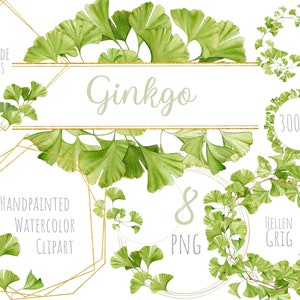 Aquarel ginkgo frames clipart, handbeschilderde bloemenkransen, groen gouden frames. Commercieel gebruik. Directe download. Afdrukbare png-bestanden.