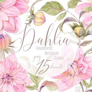 Aquarell Dahlie Clipart. Herbst Boho Handgemalte Aquarell Blumen Clipart. Hochzeitseinladung. Сommercial Verwendung. Einzelne Elemente. Png.