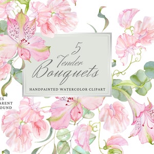Clipart floral de acuarela, ramos de alstroemeria rosa, arreglos florales. Imágenes prediseñadas de boda. Guisante dulce, eucalipto. Uso comercial gratuito, png