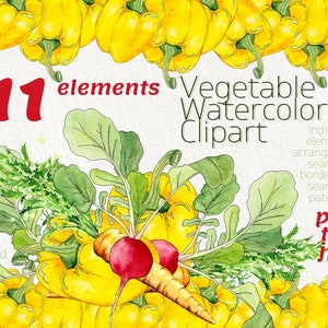 Clipart aquarelle végétale. Poivron, carotte et radis peints à la main pour la cuisine. Téléchargement instantané. Papier numérique, bordures sans couture. PNG.