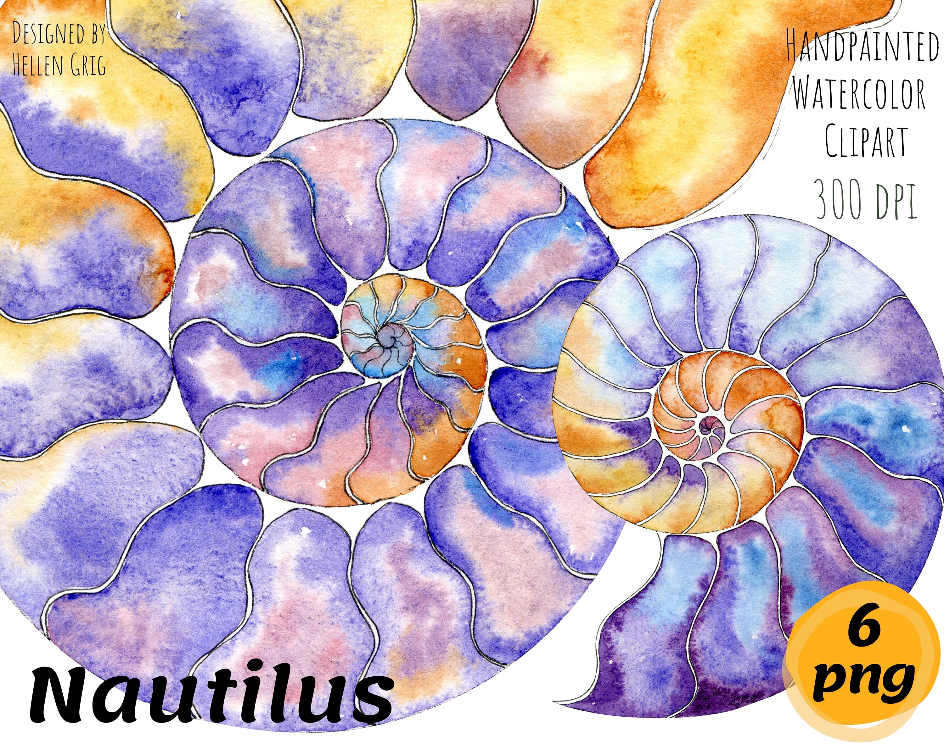 Watercolor Nautilus Shell Clipart, Handpainted Sea Set. Printable Files