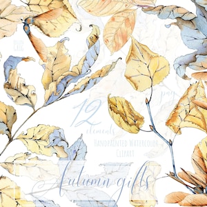 Aquarell HerbstBlätter Clipart, Herbst Clipart, Herbst Clipart, Thanksgiving, Halloween, Rustikal, beige, blau. Einzelne Elemente. Png