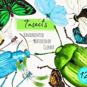 Clipart di insetti acquerelli, insetto estivo dipinto a mano, coleottero, libellula, farfalla. Uso commerciale. Download istantaneo. File png stampabili.