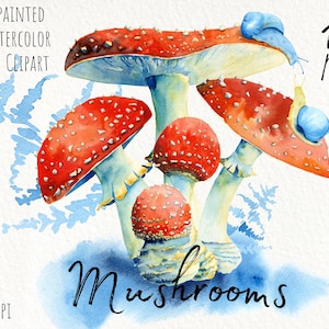 Clipart de cogumelo aquarela, clipart de outono da floresta, agaric de mosca de outono pintado à mão. Uso comercial. Download instantâneo. Arquivos png imprimíveis.