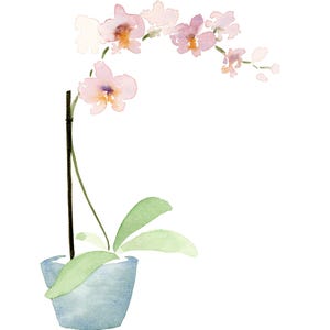 Watercolor Orchid Flower Print