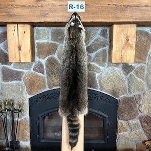 3X Slight Damage Real Raccoon Fur Pelt, Commercial Garment Tanned