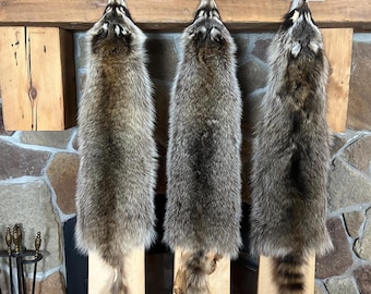 XL Slight Damage Real Raccoon Fur Pelt/commercial tanned/heavy furred