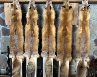 2X-1X Real Red Fox Pelt/Commercial Tanned,