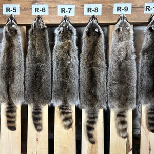 LG Select Raccoon Pelt/Commercial Tanned/Real Fur/