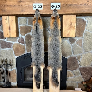 1X-LG Real Grey Fox Pelt/commercial garment tanned/