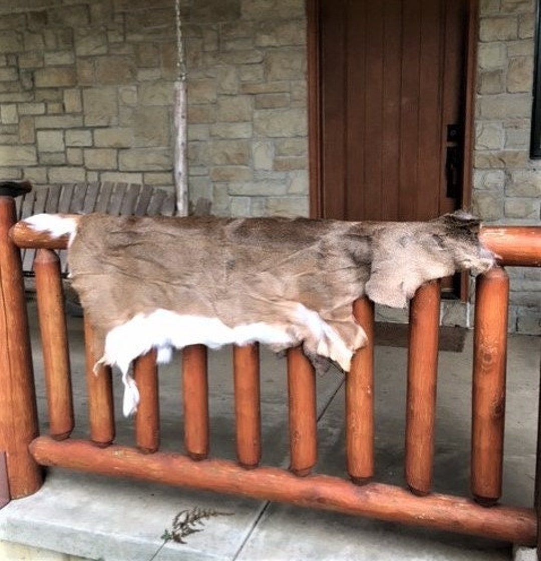 Real Whitetail Deer Hide Etsy