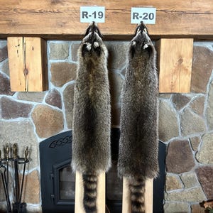 3X Slight Damaged Real Raccoon Fur Pelt, Commercial Garment Tanned