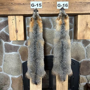 MS Real Grey Fox Pelt/commercial garment tanned/