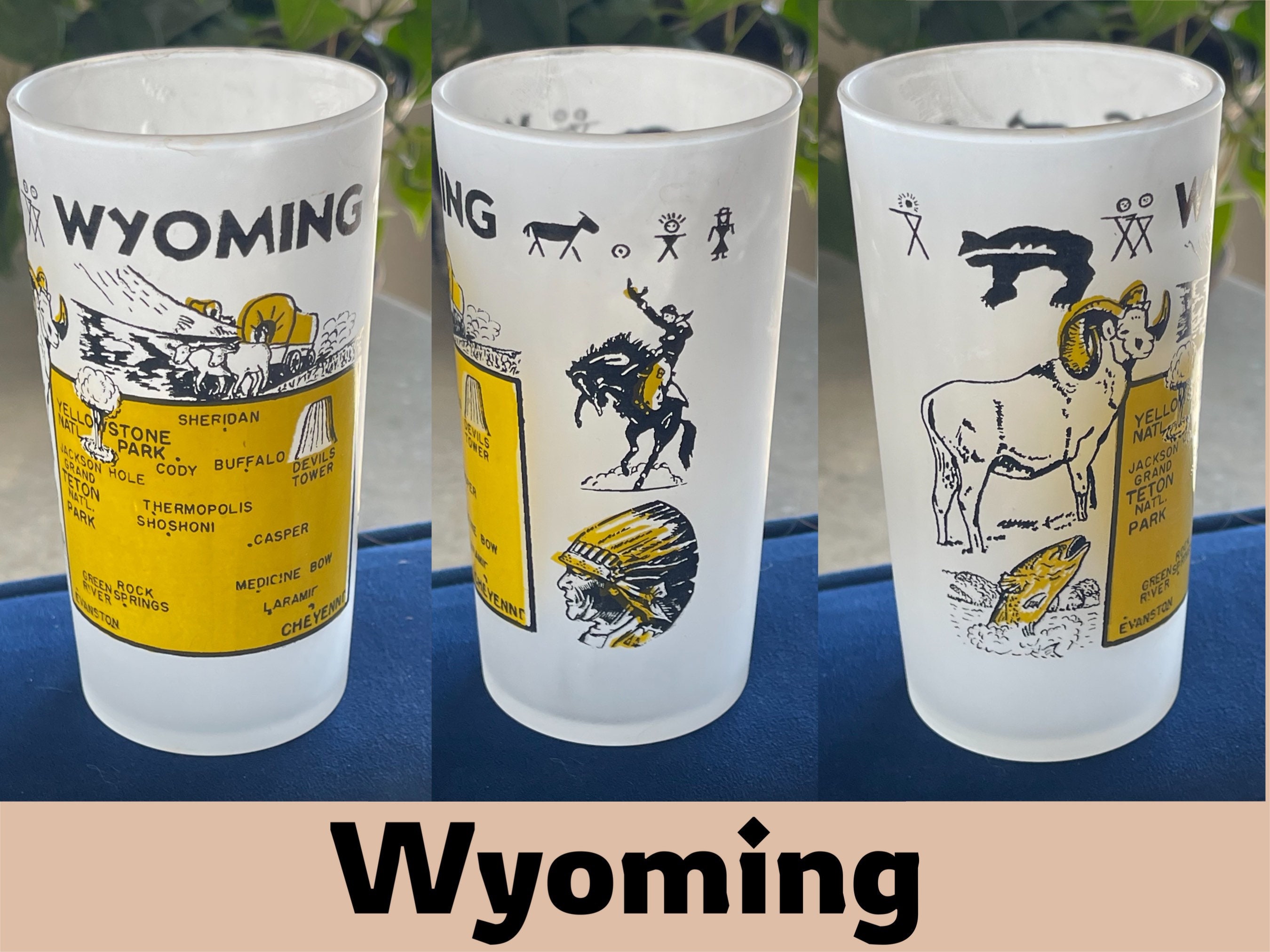 Vintage Hazel Atlas Frosted State Souvenir Glasses Multiple Etsy