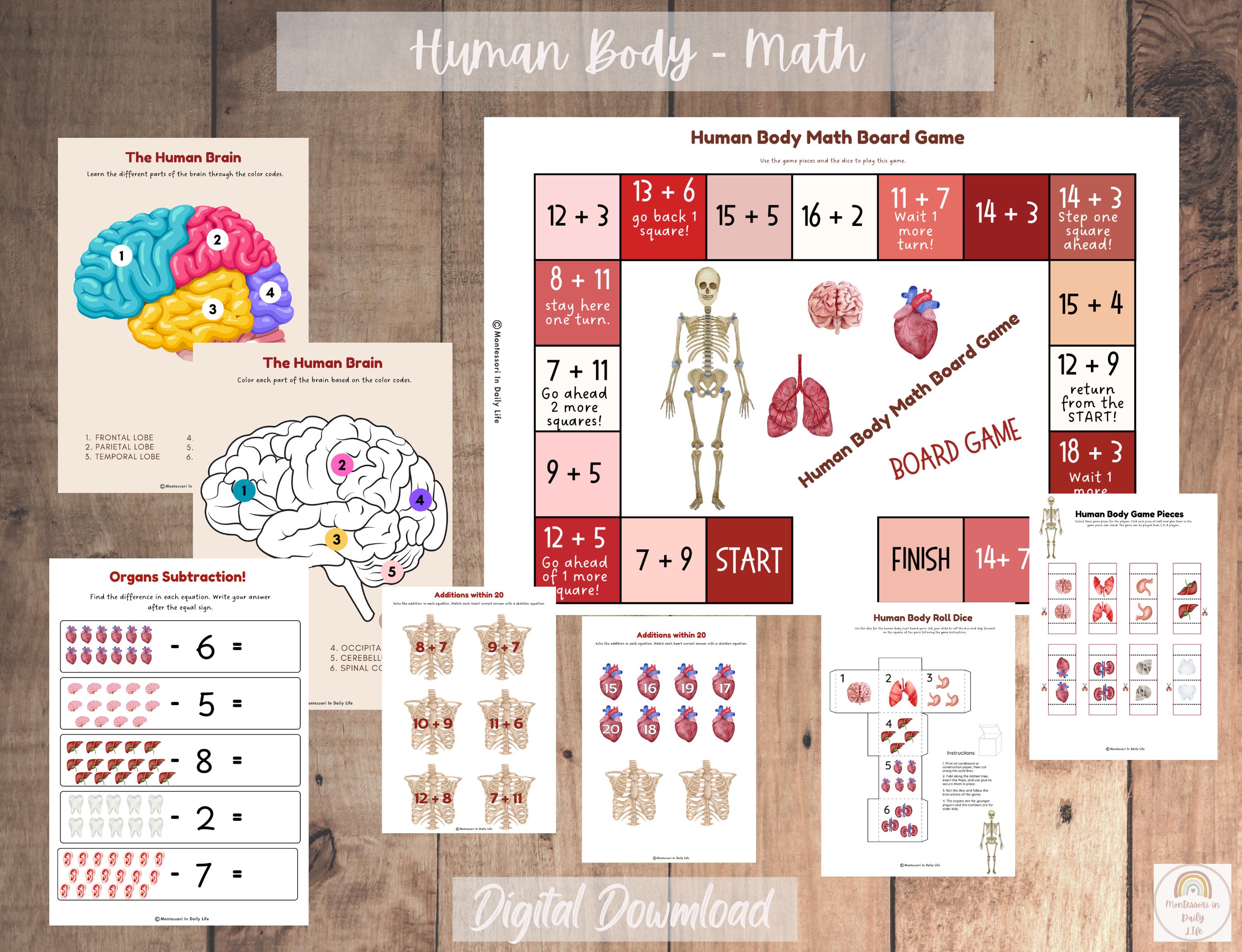 Every Body Math Human Body Unit Study - Etsy