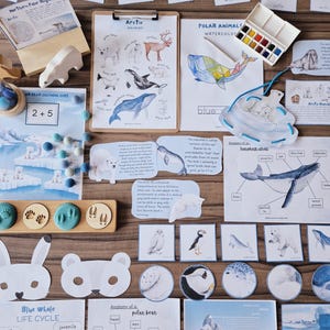 Polar Adventures Unit Study - Arctic and Antarctica Studies - Etsy