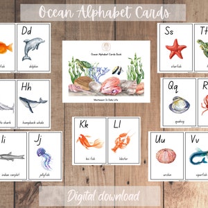 Ocean Animals Alphabet Cards - Montessori language cards