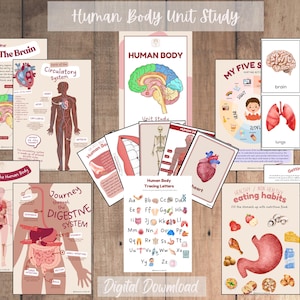 Human Body Unit Study
