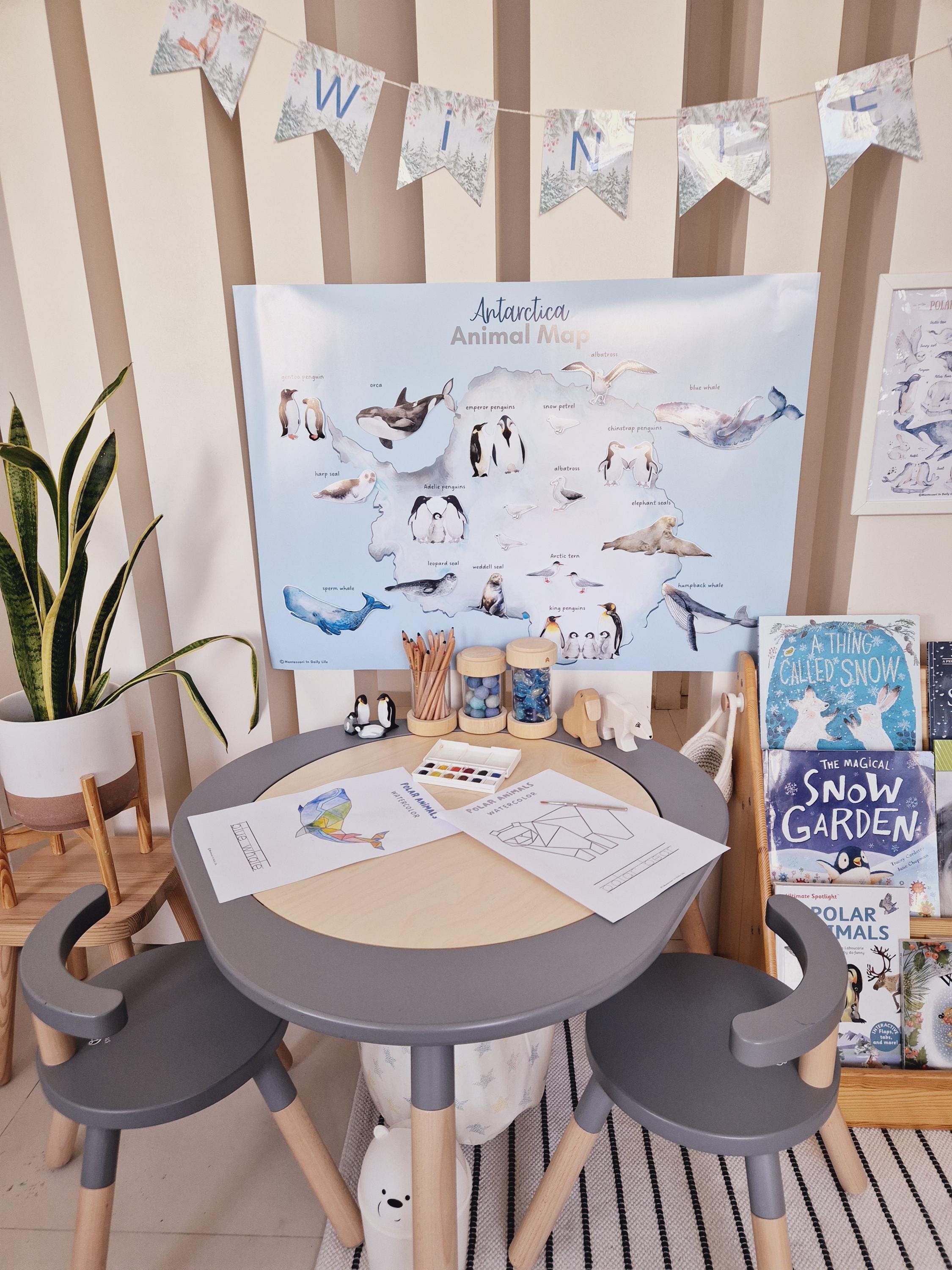 Polar Adventures Unit Study - Arctic and Antarctica Studies - Etsy