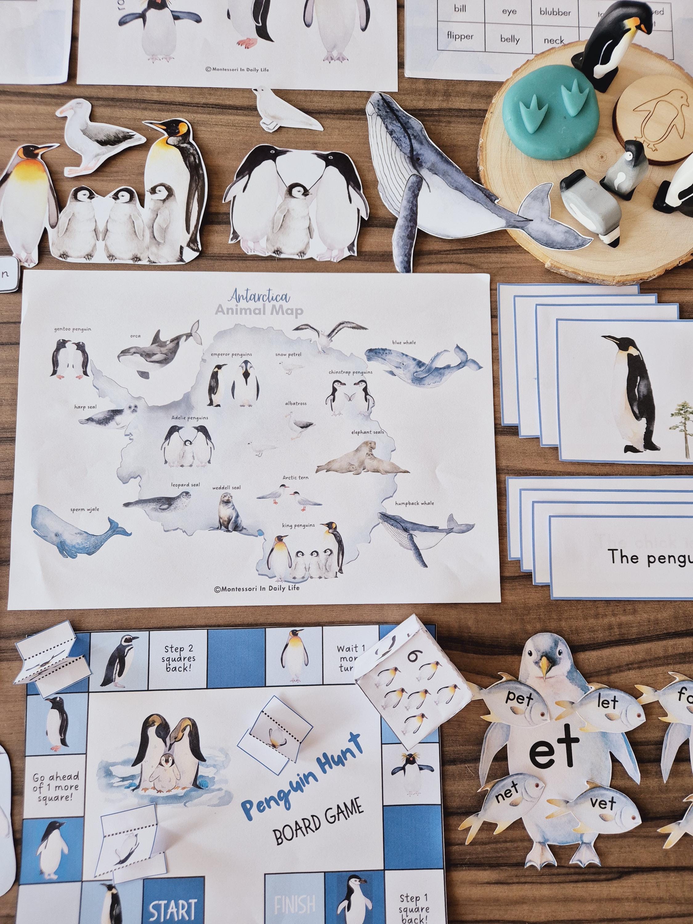 Polar Adventures Unit Study - Arctic and Antarctica Studies - Etsy