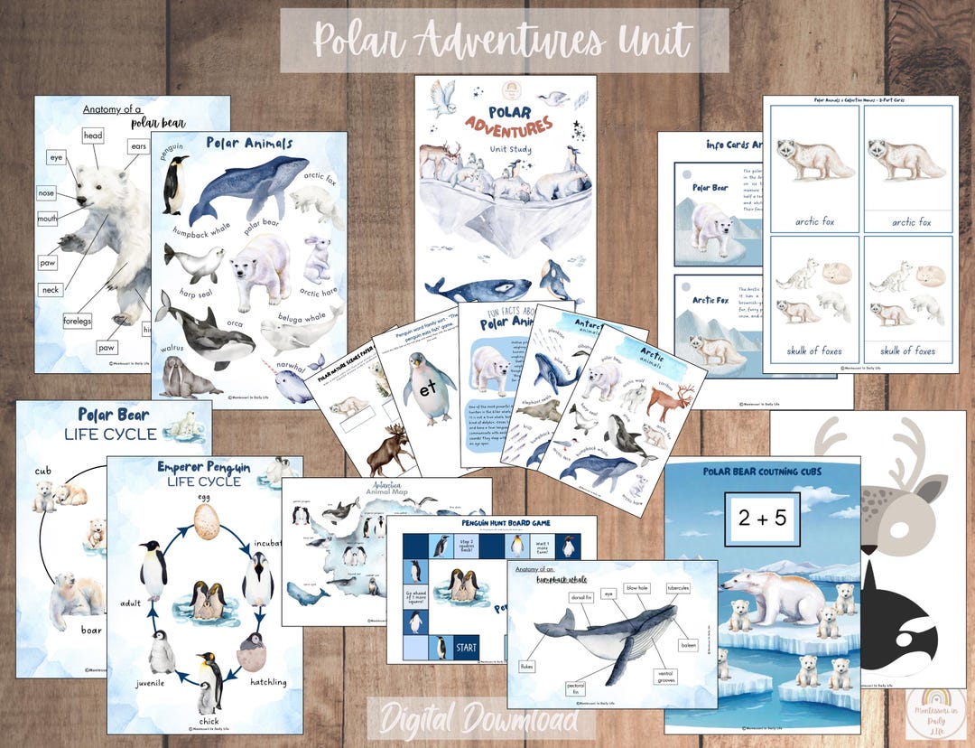 Polar Adventures Unit Study - Arctic and Antarctica Studies - Etsy