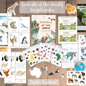 May include: A digital download of educational resources for children featuring animals of the world. The resources include alphabet cards, endangered animal cards, animal habitat cards, and a world map. The resources are illustrated with watercolour paintings of animals.