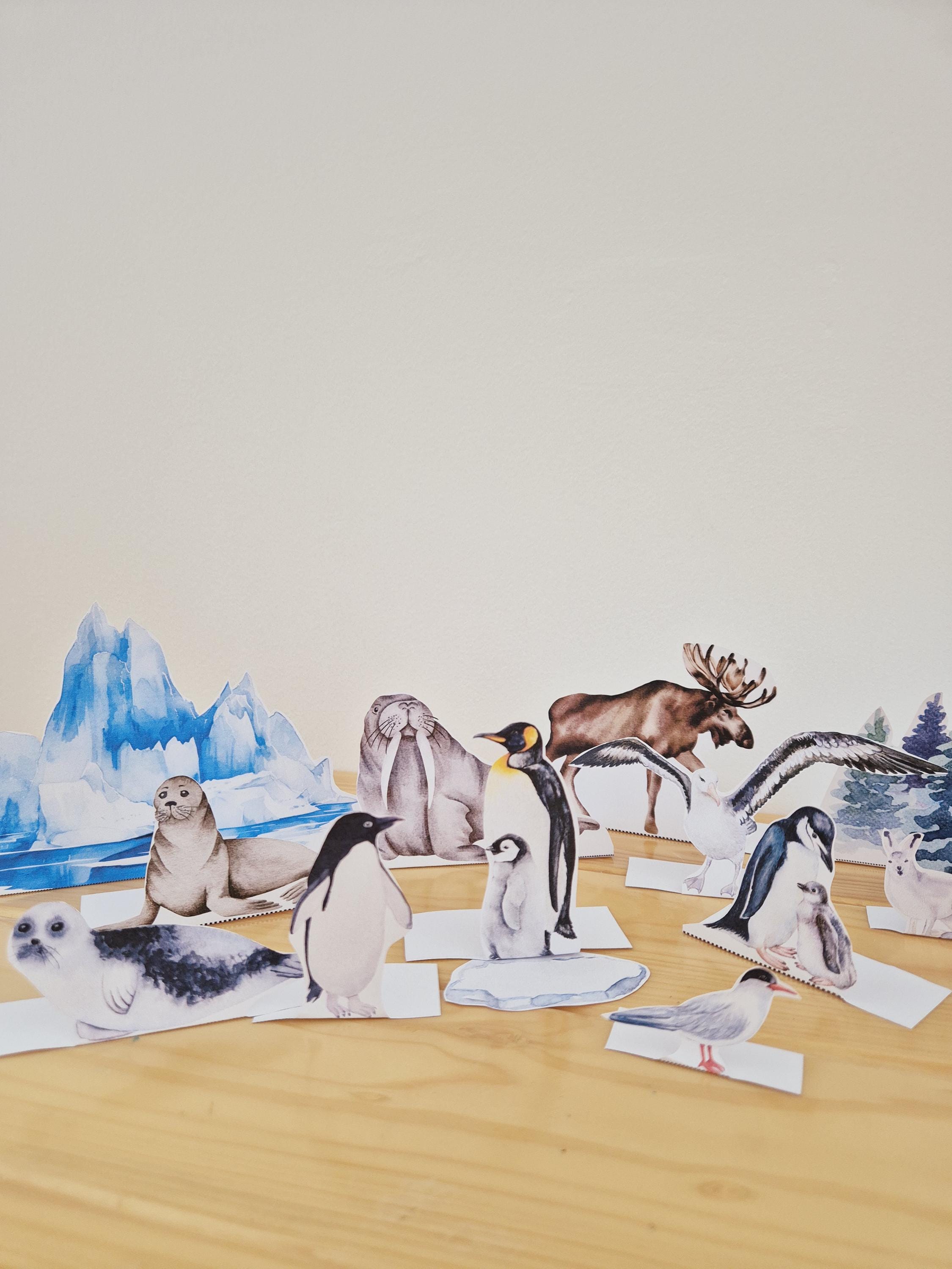 Polar Adventures Unit Study - Etsy