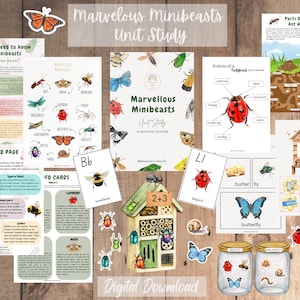 Marvelous Minibeasts - Studio di unità ispirato a Montessori + carte dell'alfabeto GRATUITE