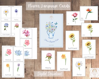 Montessori 3-part cards - Flowers - Eng, Es, Fr, It, De - Safari ltd TOOBS