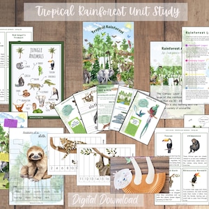 Tropical Rainforest Unit Study