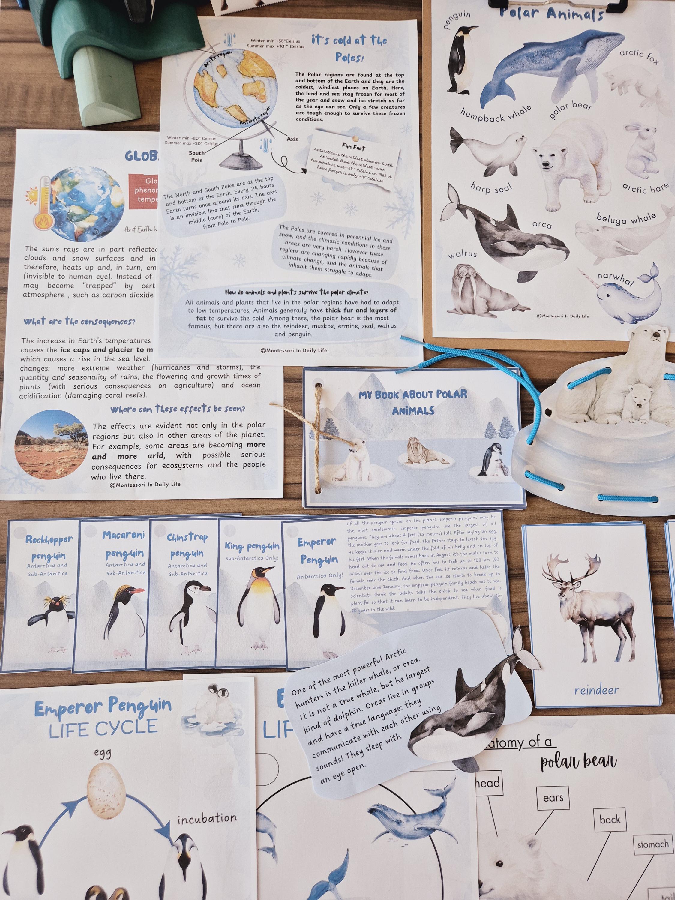 Polar Adventures Unit Study - Arctic and Antarctica Studies - Etsy