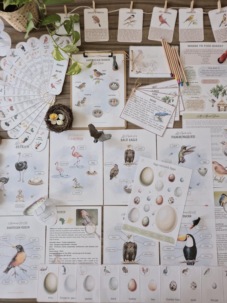 Birds of the World Unit Study: Montessori Inspired Activities (ages 6-9 ...