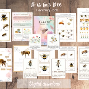 B is for Bee Early Learning Pack