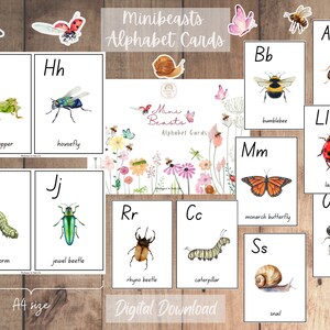Minibeasts Alphabet Cards + Tarjetas Montessori de 3 partes 5 idiomas Eng, Fr, De, Es, It