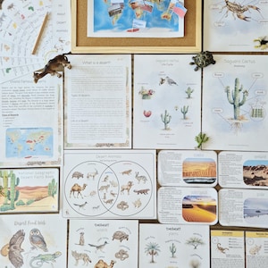 Könnte beinhalten: Eine Sammlung von Lehrmaterialien über Wüsten, darunter eine Pinnwand mit einer Weltkarte, Informationsblätter zur Anatomie von Skorpionen und Saguaro-Kakteen, Lebenszyklen, Nahrungsnetze, Tierklassifizierungsdiagramme und kleine Tierfiguren.