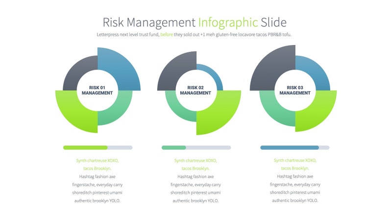 Professional Risk Management Powerpoint Template | Detailed Infographic ...