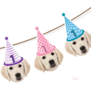 Puede incluir: Una guirnalda con tres cachorros de golden retriever con sombreros de fiesta. Los sombreros son rosas, azules y morados, cada uno con el número "1". Los sombreros tienen diferentes patrones y están ensartados en una cuerda marrón.